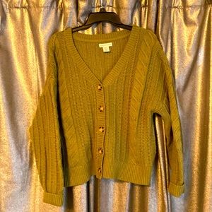 Gorgeous green thick, soft, cozy Cupcakes and Cashmere cardigan